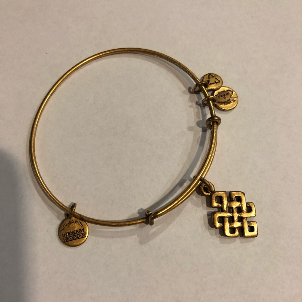 Alex and Ani Endless Knot Charm Bangle